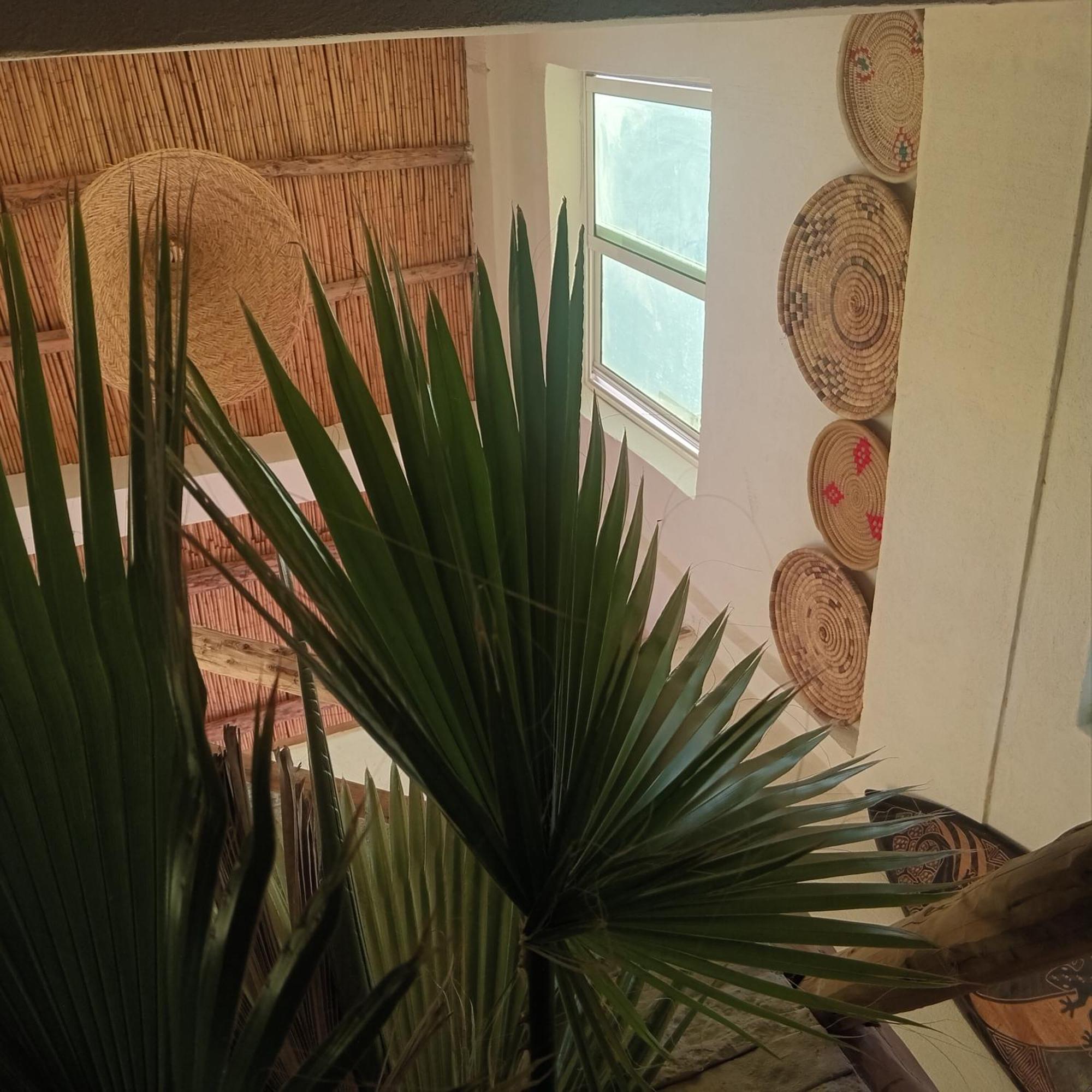 Moroccan Boho Surf House Agadir Kültér fotó