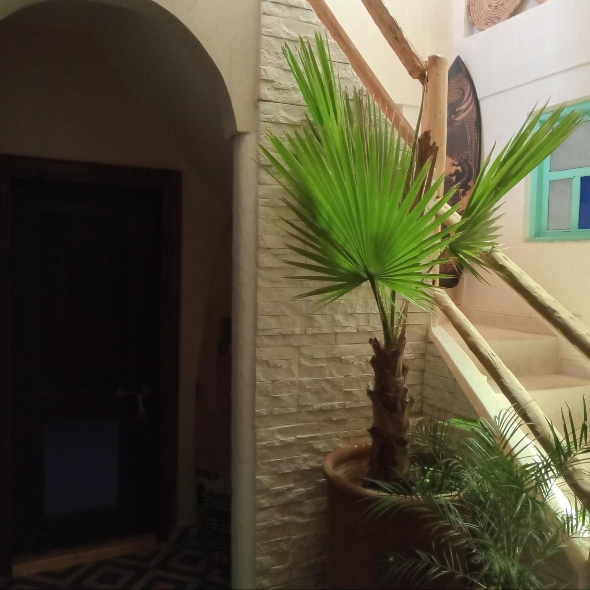 Moroccan Boho Surf House Agadir Kültér fotó